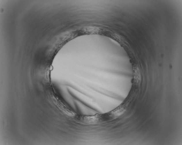 X0000055980717200509021612