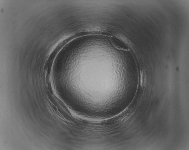 X0000055980723200509021611