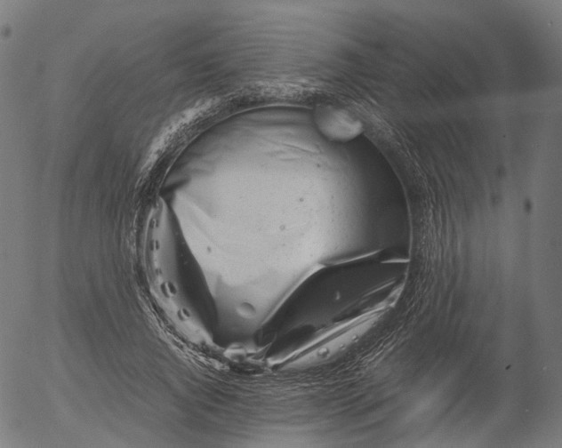 X0000055980736200509021612