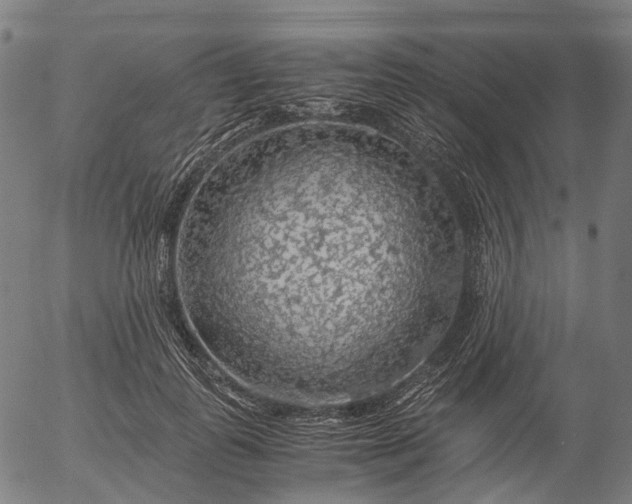 X0000055980747200509021612