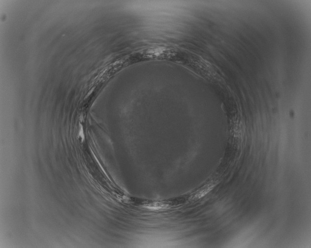 X0000055980754200509021612