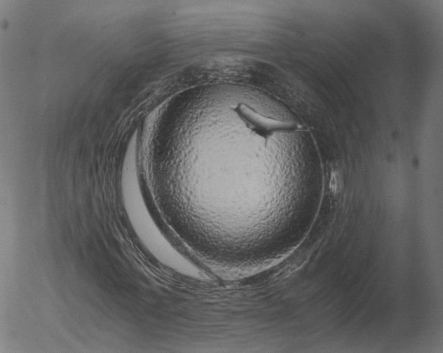 X0000055980771200509021611