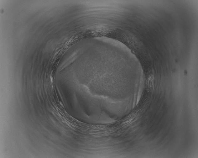 X0000055980772200509021611