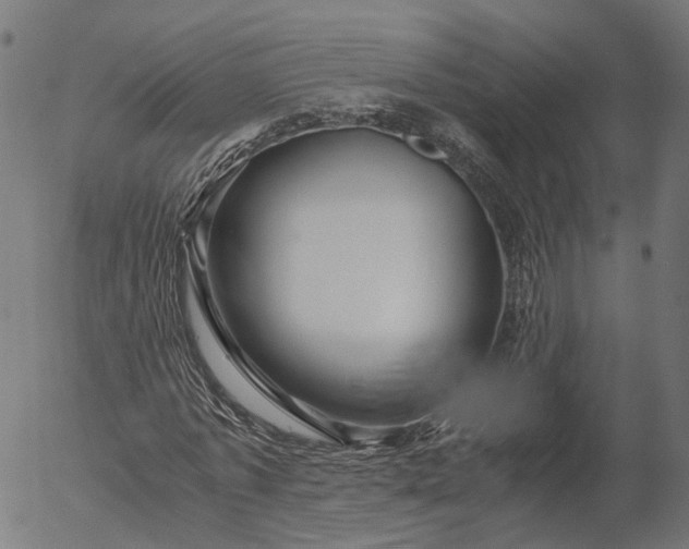 X0000055980773200509021611
