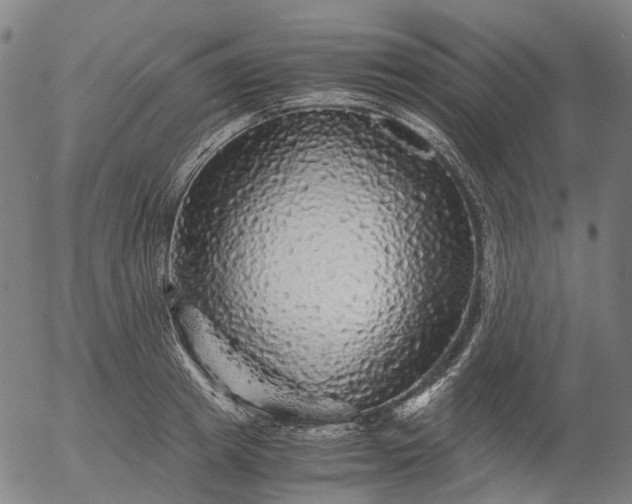 X0000055980849200509021610