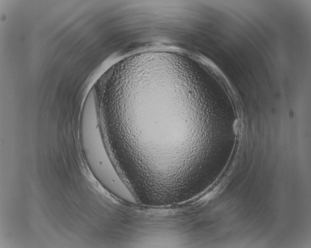 X0000055980860200509021611