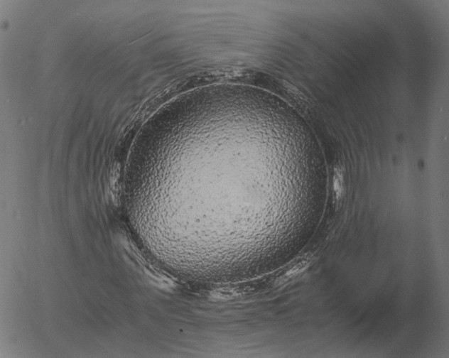 X0000055980867200509021610