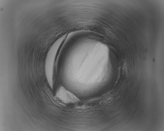 X0000055980868200509021610