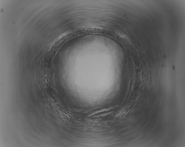 X0000055980870200509021610
