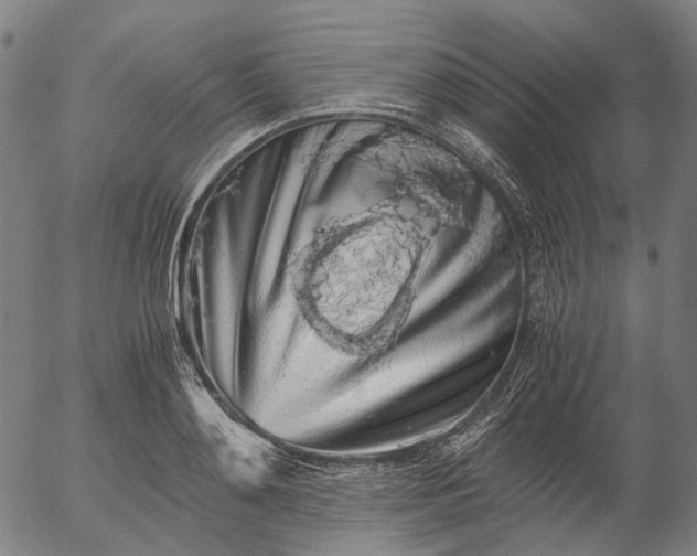 X0000055980892200509021609