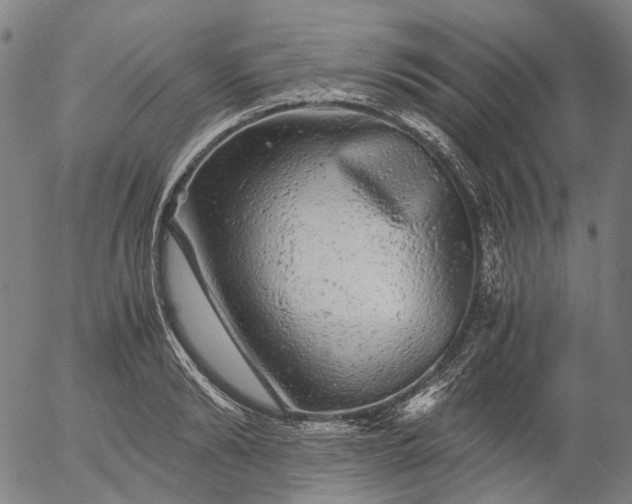 X0000055980894200509021609