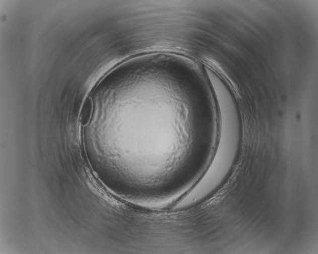 X0000055980900200509021609