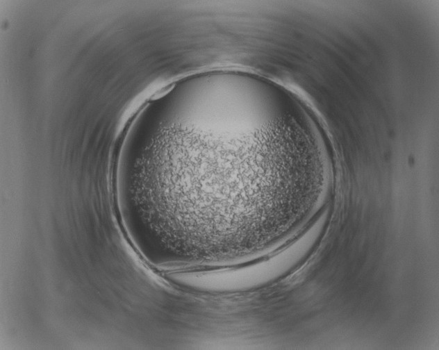 X0000055980910200509021609