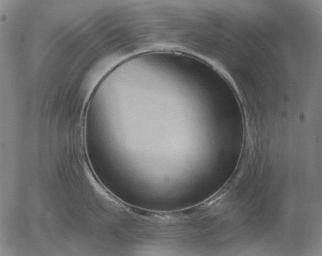 X0000055980911200509021609