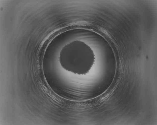 X0000055980923200509021608