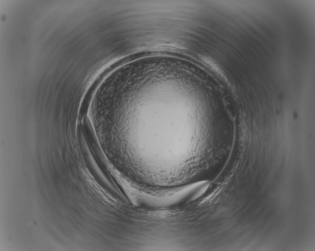 X0000055980932200509021609