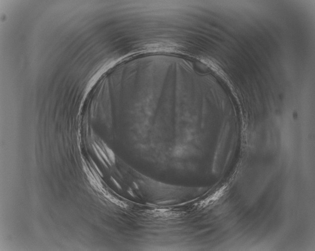 X0000055980941200509021609