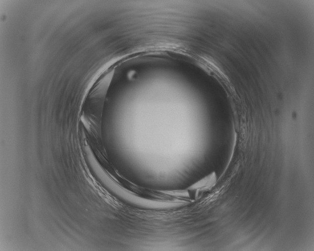 X0000055980948200509021609