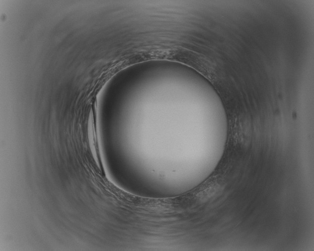 X0000055980962200509021608