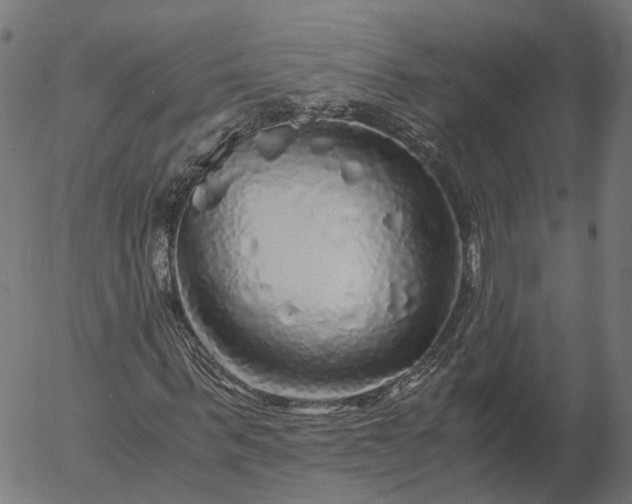 X0000055980963200509021608