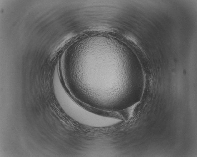 X0000055980968200509021608