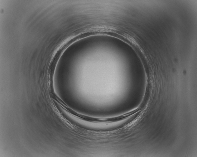X0000055980981200509021608