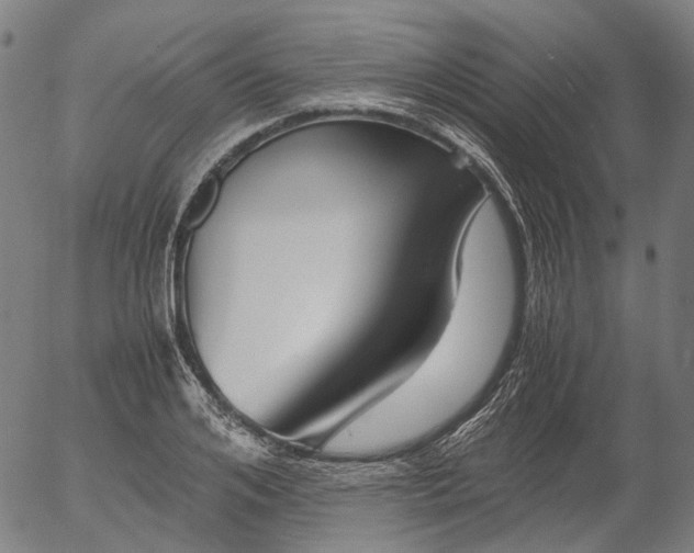 X0000055980984200509021608