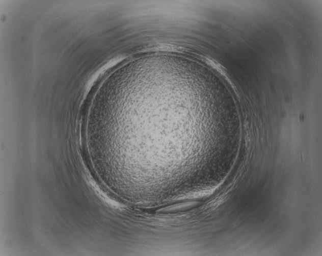 X0000055980987200509021608