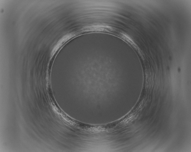 X0000055980994200509021608