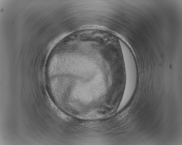 X0000055980995200509021608