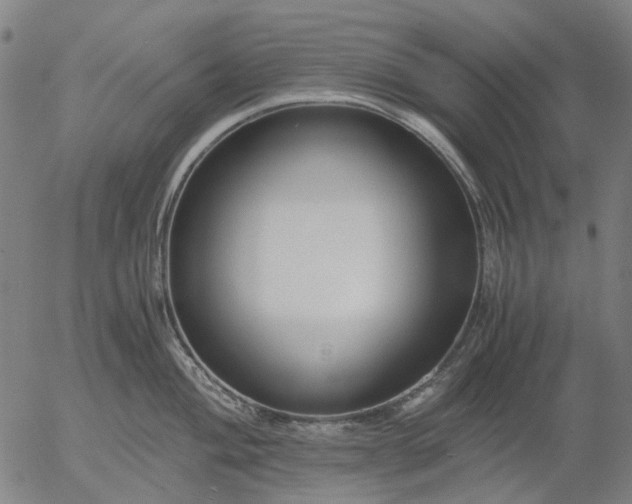 X0000055981004200509021607