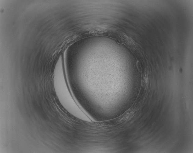 X0000055981012200509021607
