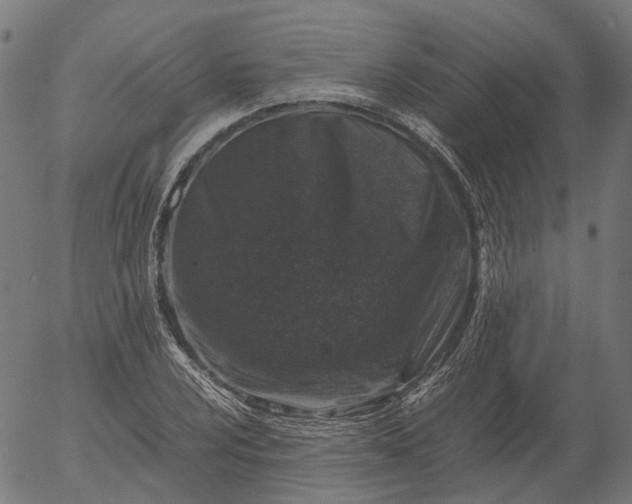X0000055981024200509021607