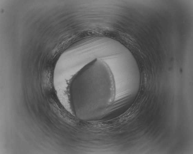 X0000055981060200509021607