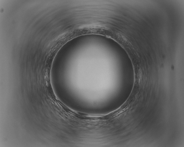 X0000055981062200509021607