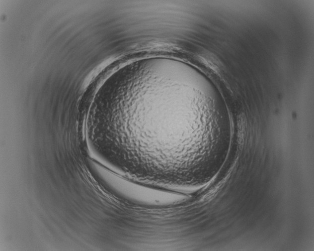 X0000055981066200509021606