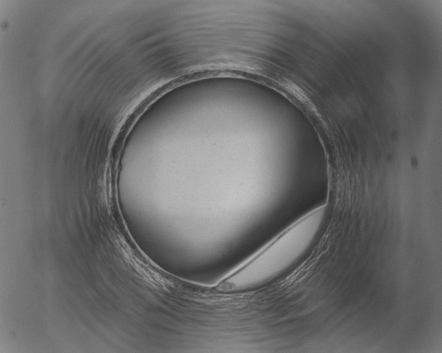 X0000055981076200509021606