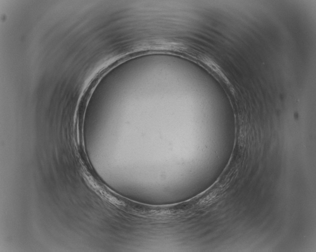X0000055981080200509021606