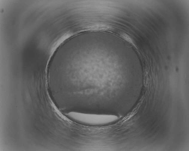 X0000055981087200509021606