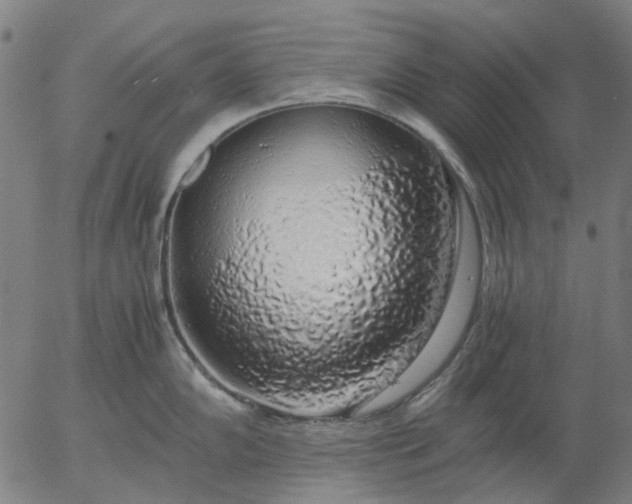 X0000055981102200509021606