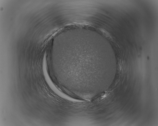 X0000055981110200509021605