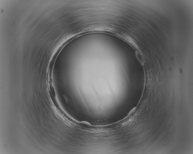 X0000055981132200509021605