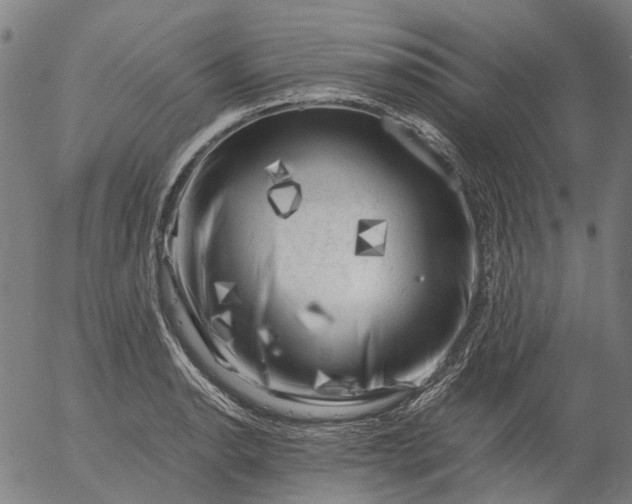 X0000055981134200509021605