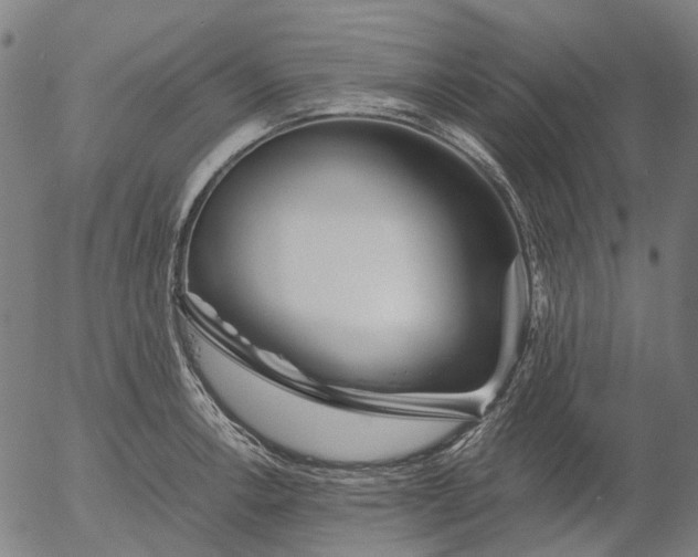 X0000055981138200509021605