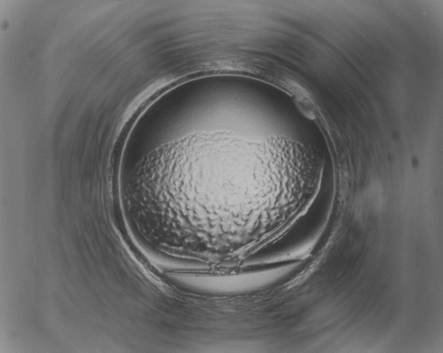 X0000055981141200509021606
