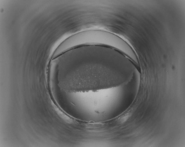 X0000055981151200509021606