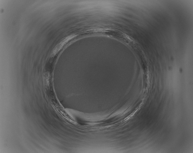 X0000055981161200509021605