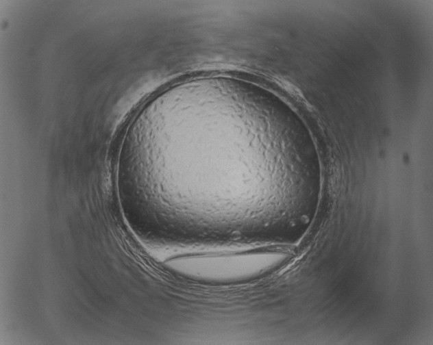 X0000055981167200509021605