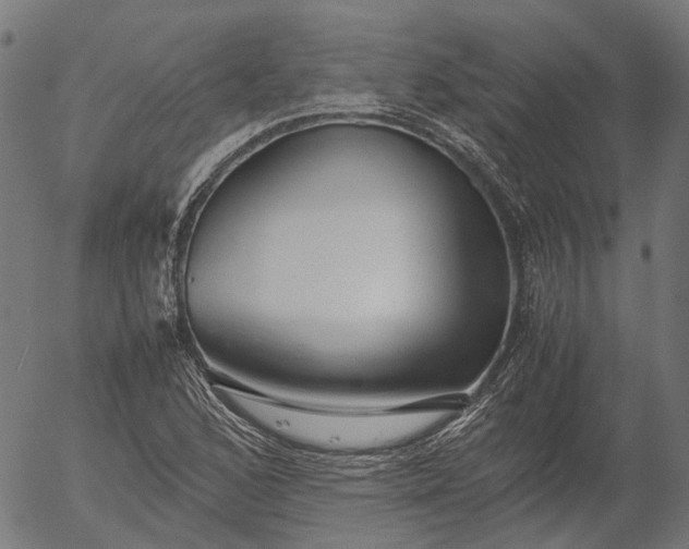 X0000055981168200509021605