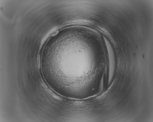 X0000055981180200509021604